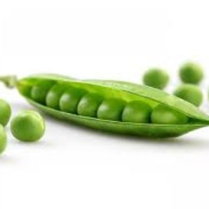petit-pois-2