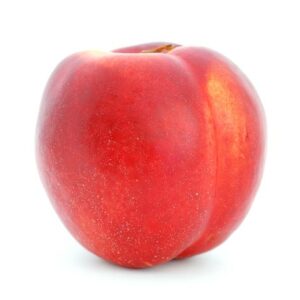 Nectarine