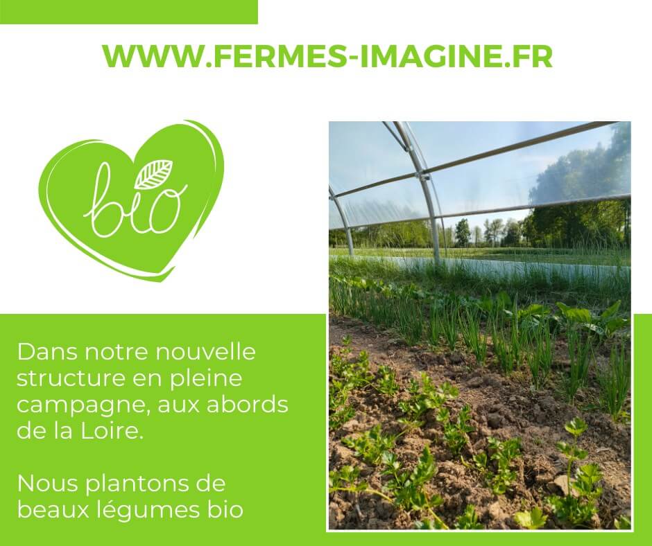 Produits ferme biologique legume