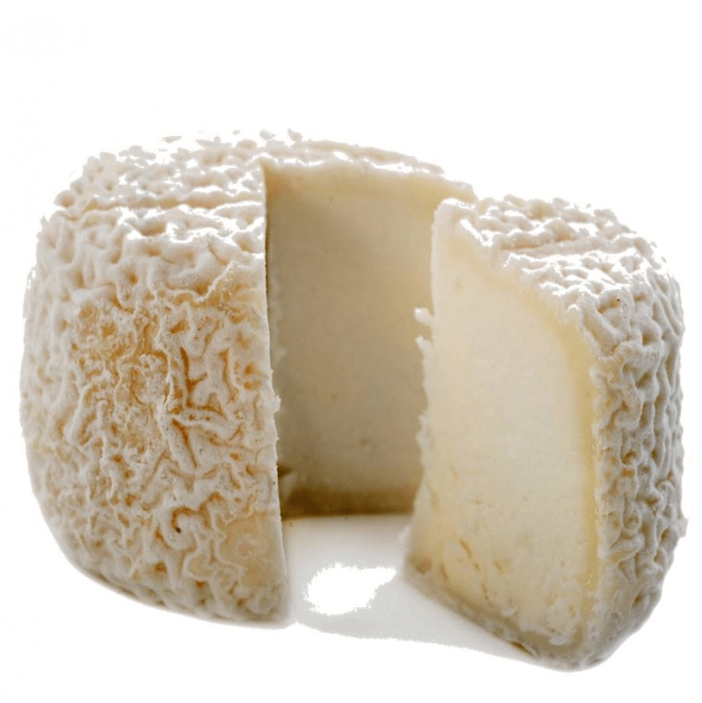 Fromage de chevre ferme production