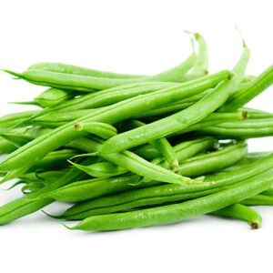 Haricots verts